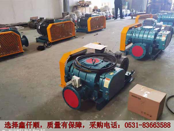 高壓羅茨鼓風(fēng)機(jī) 發(fā)貨廣西高壓羅茨鼓風(fēng)機(jī)XQSSR15030KW6臺(圖1)